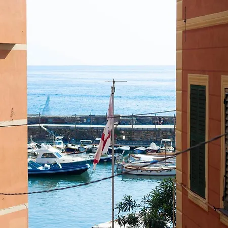 Alporto58 *