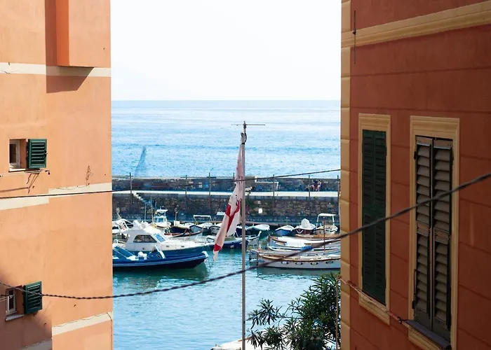 Alporto58 *